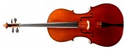 German Cellos