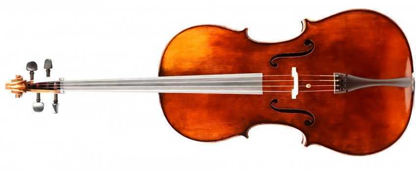 Stoehr Cellos