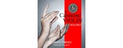 Il Cannone Soloist Direct/Focused Violin Strings by Larsen