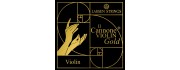 Il Cannone Gold Violin Strings by Larsen