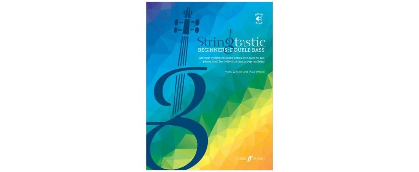 Stringtastic Double Bass